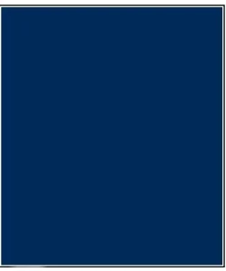 INTERNATIONAL Antifouling^Antifouling Trilux 33 matrice dure 0.75L Navy