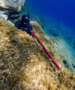 PATHOS Arbalète fusil harpon chasse sous marine Saragos Evo 100 cm| Harpon À Sandows