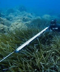 PATHOS Harpon À Sandows^Arbalète fusil harpon chasse sous marine Laser Evo Carbon 82 cm