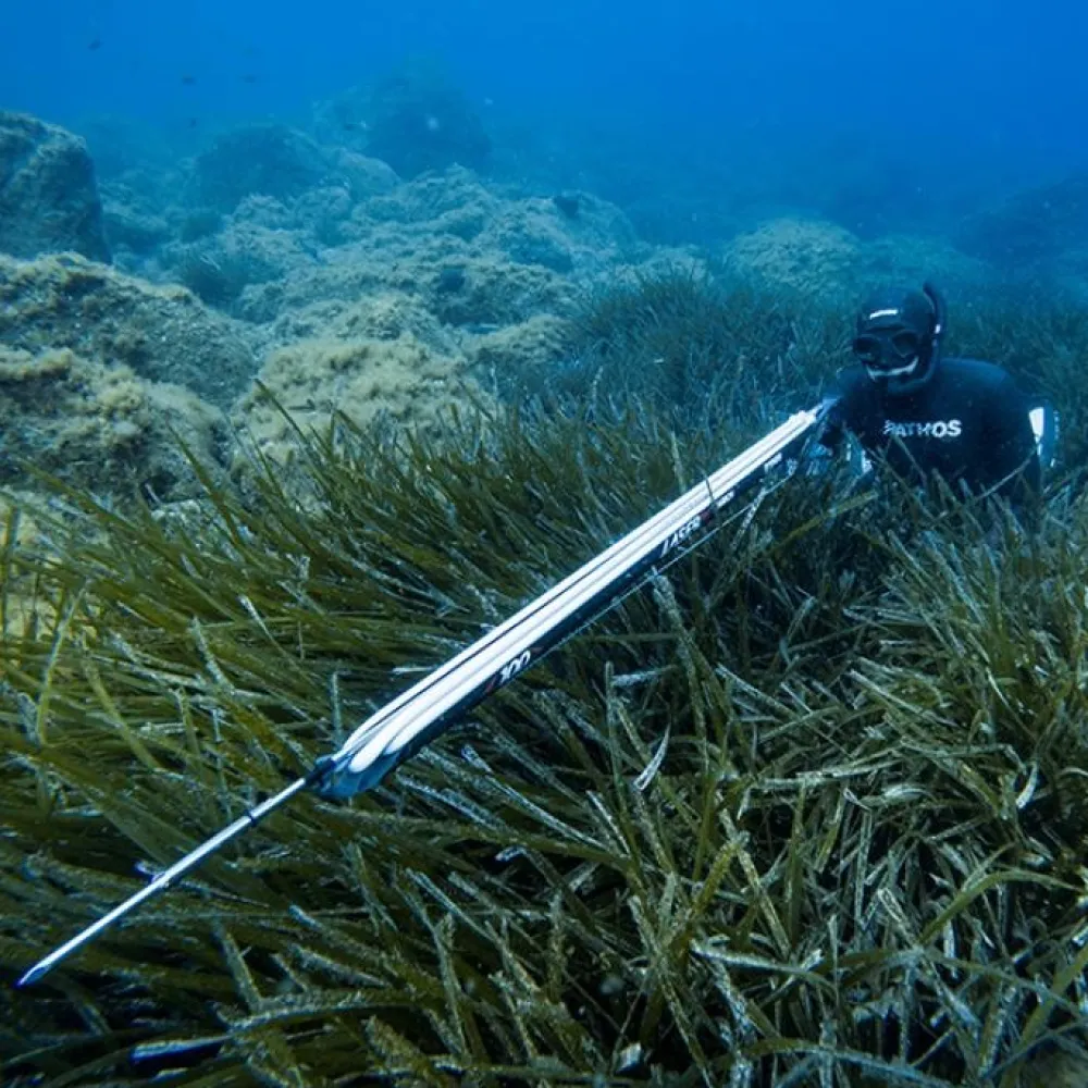 PATHOS Harpon À Sandows^Arbalète fusil harpon chasse sous marine Laser Evo Carbon 82 cm