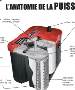 OPTIMA Batterie Marine^Batterie Red RTV 4.2 50AH