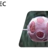 PROWESS Accessoires De Montage Carpe^Boilies Protec 27 mm X 10