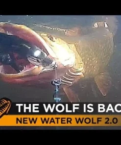 WATER WOLF Caméra vidéo Sous-Marine Pro 2.0 Wifi 2K