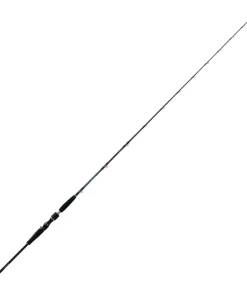 DAIWA Canne à pêche Daïwa Saltiga Deep 55