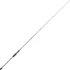 PENN Canne casting Conflict Jigging