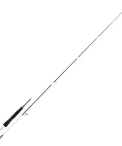 DAIWA Canne Infeet Seabass II| Cannes Carnassier|Cannes Pêches Exotiques