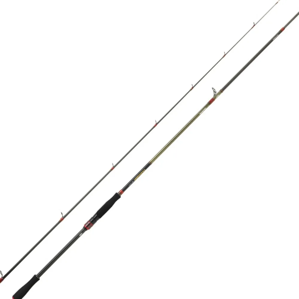 DAIWA Cannes Carnassier|Cannes Pêches Exotiques^Canne Spinning Tournament AGS