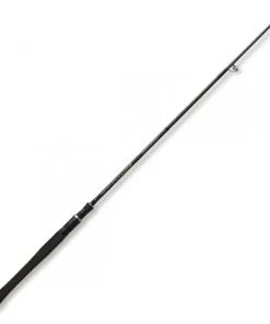 EVERGREEN Cannes Pêches Exotiques|Cannes Carnassier^Canne spinning Phase