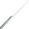 HART Cannes Carnassier|Cannes Pêches Exotiques^Canne spinning Gt Black Bone