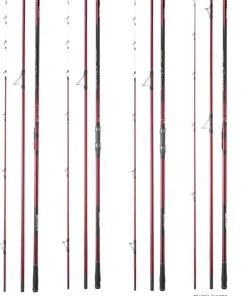DAIWA Cannes Surfcasting & Bord De Mer|Tous Les Produits^Canne surfcasting Tournament Caster Evo
