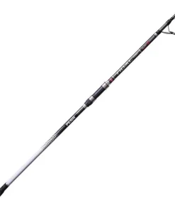 PENN Canne surfcasting Tidal Telescopic surf