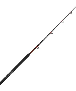 PENN Canne traine Warfare II Trolling & Drifting