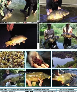 VIDEO PêCHE Dvd / Livres^Carpes en grands lacs : St Cassien - Salagou - Cabanac (2 DVD) avec Nicolas Migeon