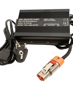 BSR Chargeur de batterie gamme Prestige et Prestige + 24V 10A