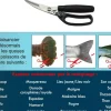 KERFIL Accessoires|Tous Les Produits^Ciseaux coupe-queue