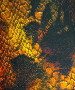DENTY SPEARFISHING Combinaison Chasse Sous-Marine^Combinaison de chasse sous marine Anaconda Marron Or 5 mm