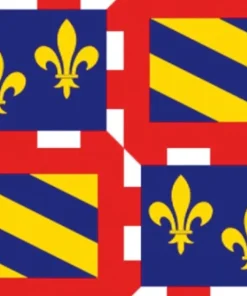 DéCOMARINE Pavillon Bateau^Drapeau Bourgogne  90 x 150