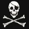 DéCOMARINE Drapeau Pirate deux os  90 x 150