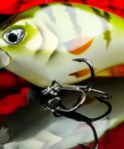 MOLIX Leurre Flottant Flat Crank DR 55