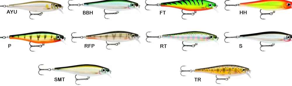 RAPALA Leurre BX Minnow 10 cm 12 gr| Leurres Carnassier|Leurres