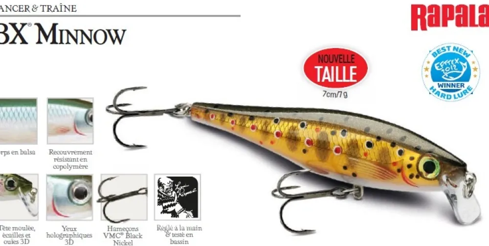 RAPALA Leurre BX Minnow 10 cm 12 gr| Leurres Carnassier|Leurres