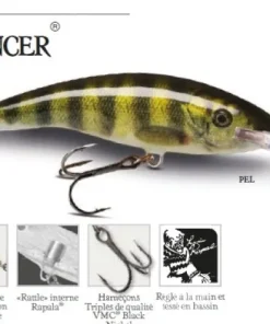 RAPALA Leurre Deep Tail Dancer 11 cm 22 gr