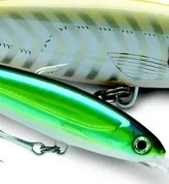 RAPALA Leurre X-Rap Magnum 11 cm 22 gr