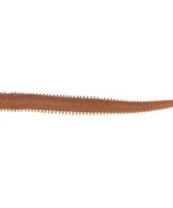 BERKLEY Leurre Souple|Tous Les Produits^Leurre Souple Gulp! Fat Sandworm 10 cm