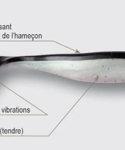 CATSPIRIT Leurre Souple Shad 20cm X 10