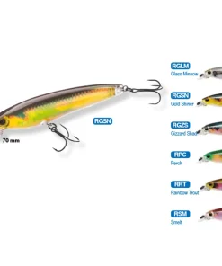 YO-ZURI Leurre 3DR Minnow 10 cm 17 gr
