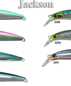 JACKSON Poissons Nageurs|Leurres^Leurres Pintail EZ 9 cm / 28 gr