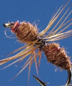 TEKLON Lot de 2 fourmis Brown| Mouches Montées
