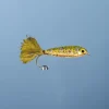 JMC & MOUCHES DE CHARETTE Mouches Montées^Mouche Carnassier JMC Minnow 1 H6