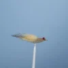 JMC & MOUCHES DE CHARETTE Mouche Carnassier mer JMC Bonefish Clouser H4