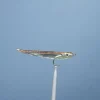 JMC & MOUCHES DE CHARETTE Mouche Streamer Mer JMC Gummy 1 H 6