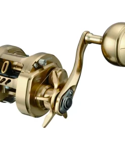 DAIWA Moulinet casting Basara 21 - 200 L