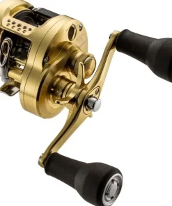 SHIMANO Moulinets Carnassier|Moulinet^Moulinet Casting Calcutta Conquest MD