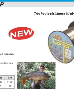 ASSO Nylon Carp Vert 1000 m