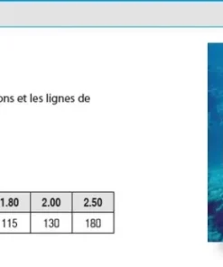 ASSO Fils De Pêche|Nylons / Tresses^Nylon Ligne de Mer Classic Couronne 100 m 250/100