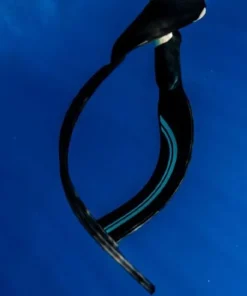 MOLCHANOVS Bi-Palme|Nouveautés^Palme apnée Pro Bifins 3 Carbon Bleu - Soft
