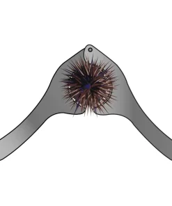 FLASHMER Pince à Oursin inox