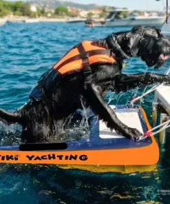 TIKI FACTORY Plateforme Flottante Gonflable^Plateforme gonflable bateau rampe pour chien