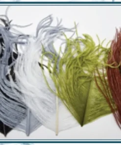 JMC & MOUCHES DE CHARETTE Plumes JMC Autruche