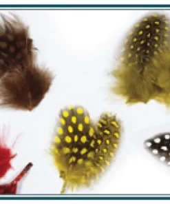 JMC & MOUCHES DE CHARETTE Plumes JMC Pintade| Montage Mouche