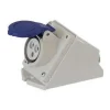 PLASTIMO Prise de quai femelle - 16A - 230V - 2P+T - IP44