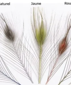 JMC & MOUCHES DE CHARETTE Quill D'oeil De Paon JMC Ebarbé| Montage Mouche