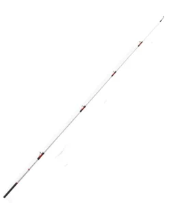 DAIWA Scion de canne Emblem surf 33 453HAF