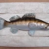 CAP VERT Art Aquatique & Sculptures|Art Aquatique & Sculptures^Sculpture Sandre sur Cadre