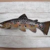 CAP VERT Sculpture Truite Fario sur Cadre