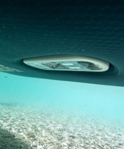 JOBE Paddle Electrique^Sup Paddle électrique Gonflable E-Duna Elite 11.6